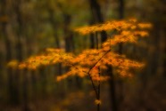 Richard_Barrow03