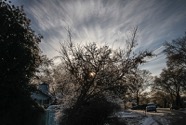 john_brassil03
