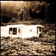 Denny Adcock - Kudzu_DH