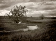 Jerry Park - Dakota Slough