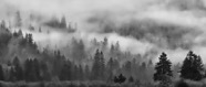 Durwood_Edwards03