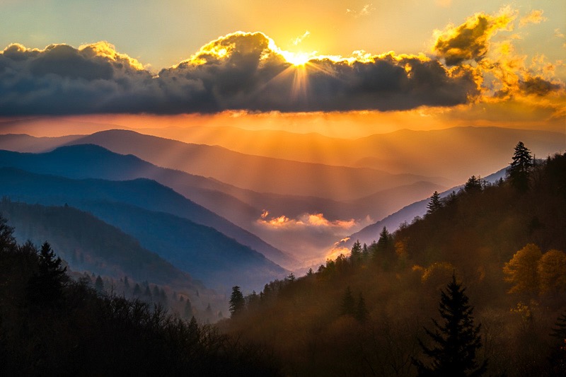 Loading Image
