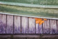 Sue Henry Lone Leaf on the Boardwalk