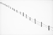 davidmorel01a