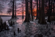 renee_lowery01