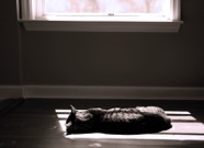 sunbathing_lisalong