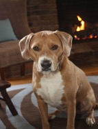 martha_smith_copper.jpg