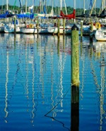 Guiseppe's Wharf