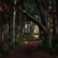 Jerry_Park