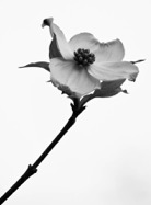 Martha_Smith_2