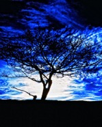 Stanton_Tubb