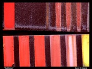 2700714229_81be793667