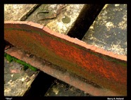 2700714533_c54e60a564