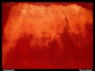 2700715165_ef09f535df