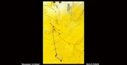 2700715369_540812f5d1