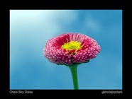 2700721211_a9de830d77