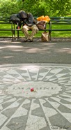Imagine_DavidCarr