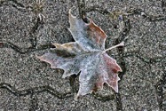 John Brassil, inspired by Andy Goldsworthy