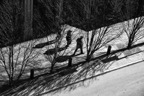 Miles_Tudor
